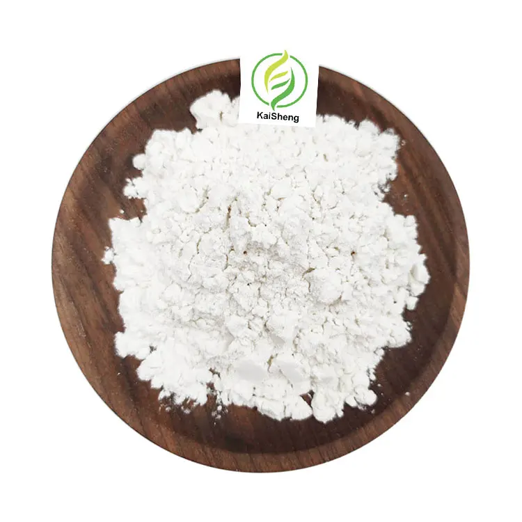 Wholesale Bulk Chicory Root Powder Supply Best Price Organic Inulin Powder 90% Inulin