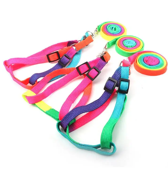 Manufacturer Pet Supplier Dog Harness Sets Small Dog Harness Dog Belt and chain