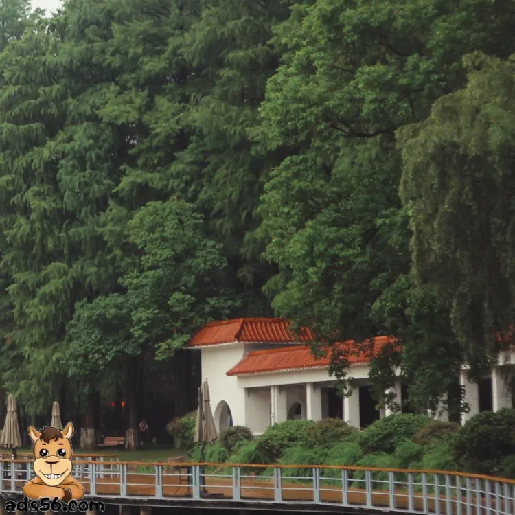 professional Air Delivery Door to Door Service Courier China to Algeria Angola