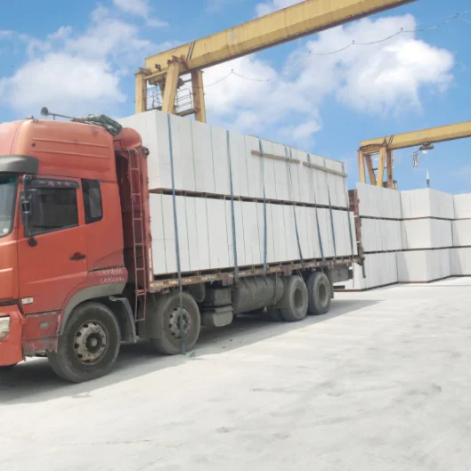 AAC Wall Block and Alc Wall Block from China