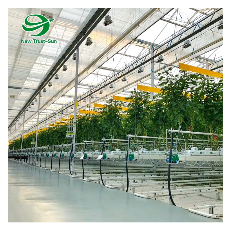 
custom size agricultural grow hydroponics system tomato glass greenhouse 