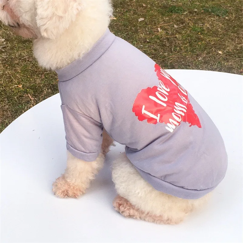 Pet Cloth Small Animal Cloth Bear Pet Clothes for Sale Hot Sale Cute Logo Printed Hope Dog Winter Clothes Pet Clothing