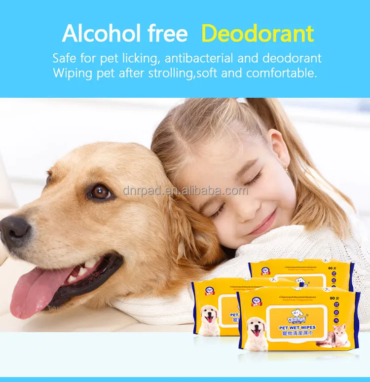 Wholesale clean grooming wet wipe for pet anti bacteria wipes paw wipes