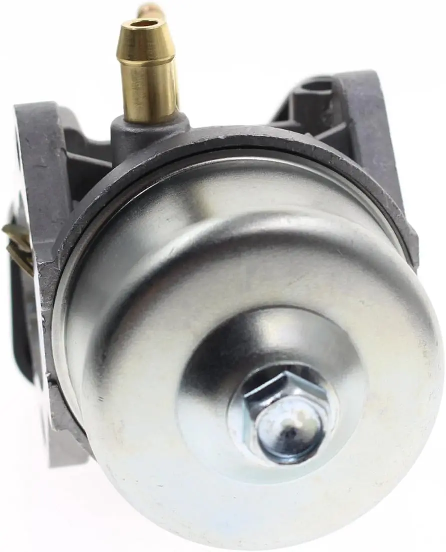Carburetor For Briggs and Stratton 801396 801233 801255 Snow Blower Carb Craftsman Chinese