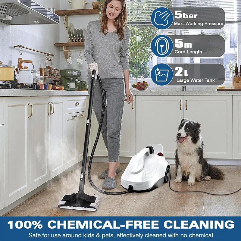 2024 New Model Steam Cleaner Powerful Multipurpose Portable Steamer for Floor Car Tiles Grout Kills 99.9% of Bacteria Viruses