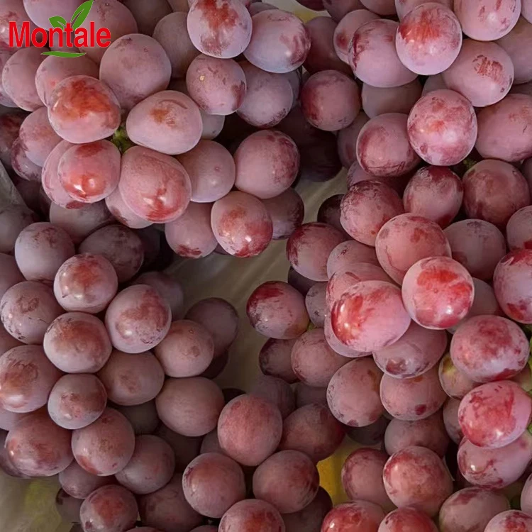 Chinese Factory Price Top Quality Fresh Red Grapes Supply