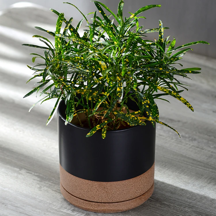 Cheap Desktop Indoor Decorative Potted Plant Pots Planters for Succulent Plants
