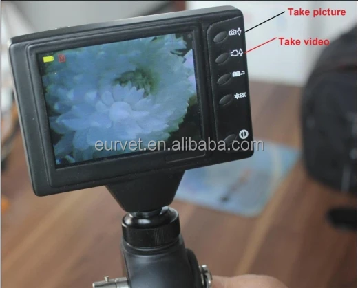 EUR VET Hot Selling Portable Video Veteriner Gastroscopic Medical Machine Veterinary Equipment