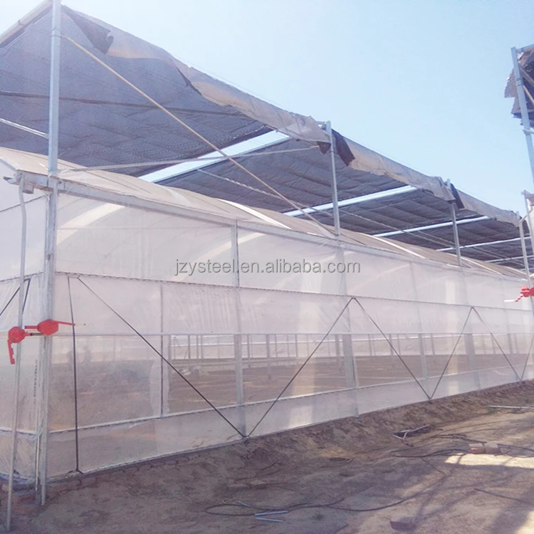 China supplier cheap price tunnel greenhouse