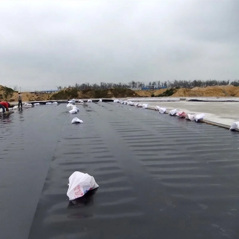 China Fish Farm Pond Liner HDPE Geomembrane Wholesale Price