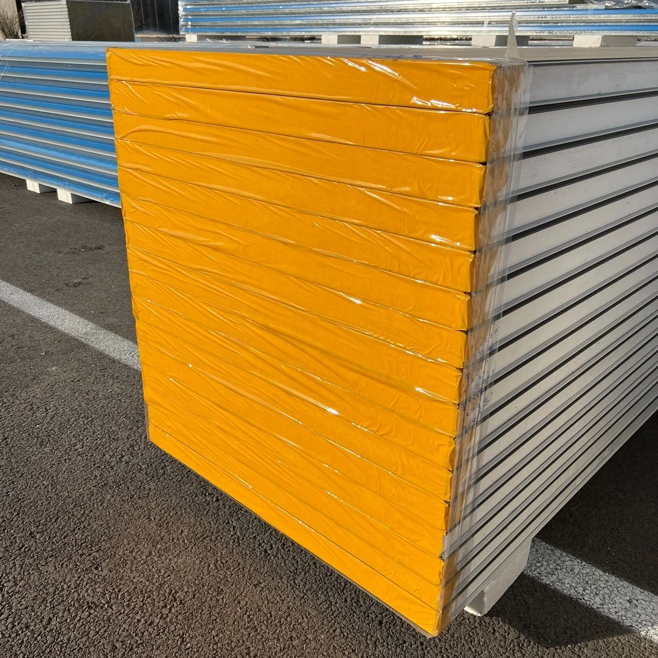 Building Materials EPS /Polystyrene Clean Room Panels for Wall and Ceiling