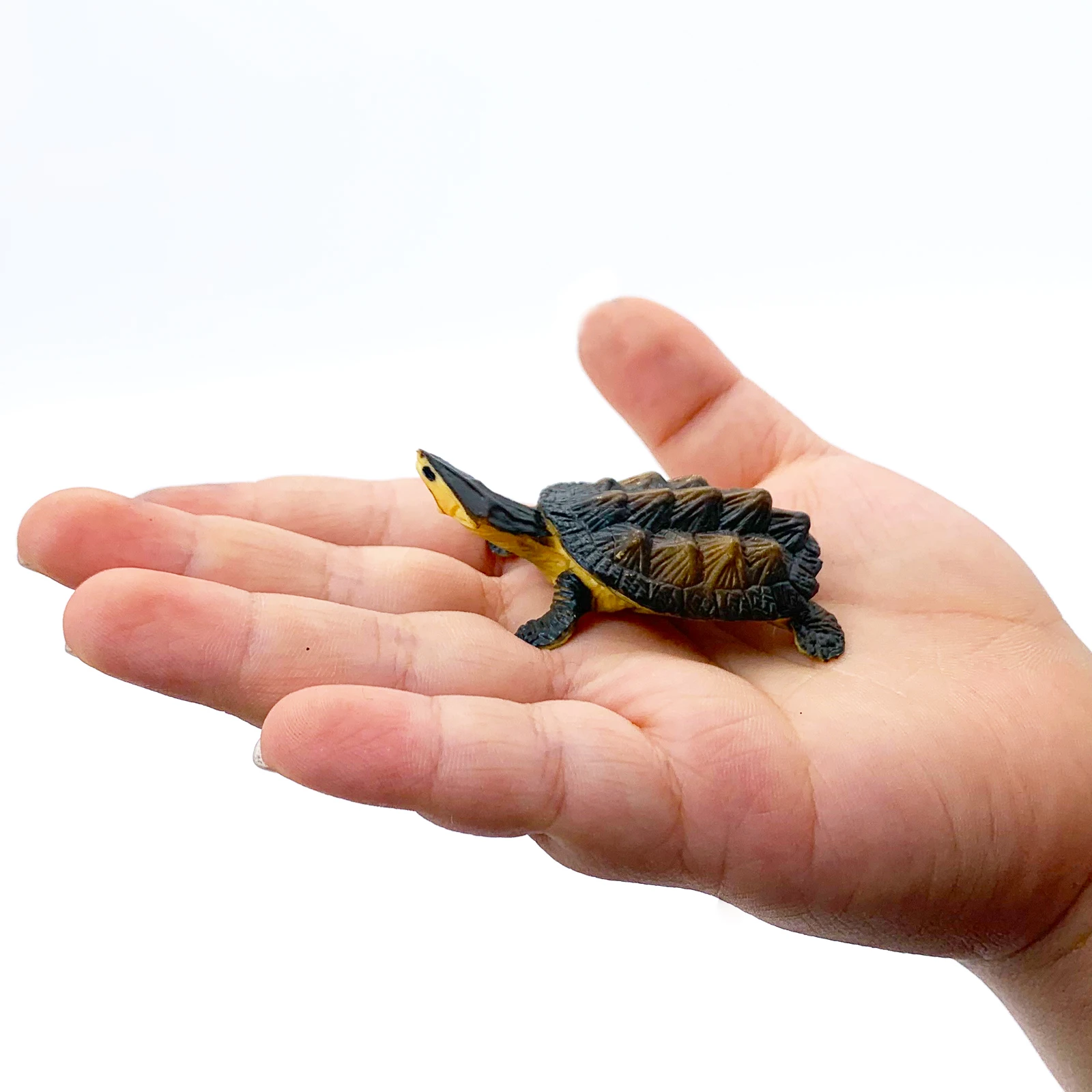 Дикая природа Реалистичная Высококачественная ПВХ пластиковая фигурка животных игрушки Реалистичные экологически чистые животные Matamata черепаха