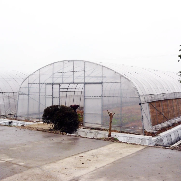 Agricultural Vertical Farming Singlespan Tunnel Greenhouse With Irrigation And Hydroponic Growing System