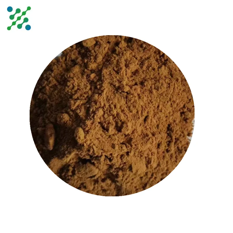 Polysaccharide 30% Porcini Mushroom Extract Boletus Edulis Extract powder