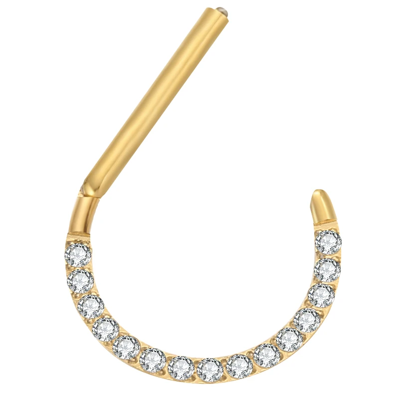 316 L stainless steel  Prong Set Zircon Hinged Clicker Segment Ring Nose Rings for Women Pierced Nos