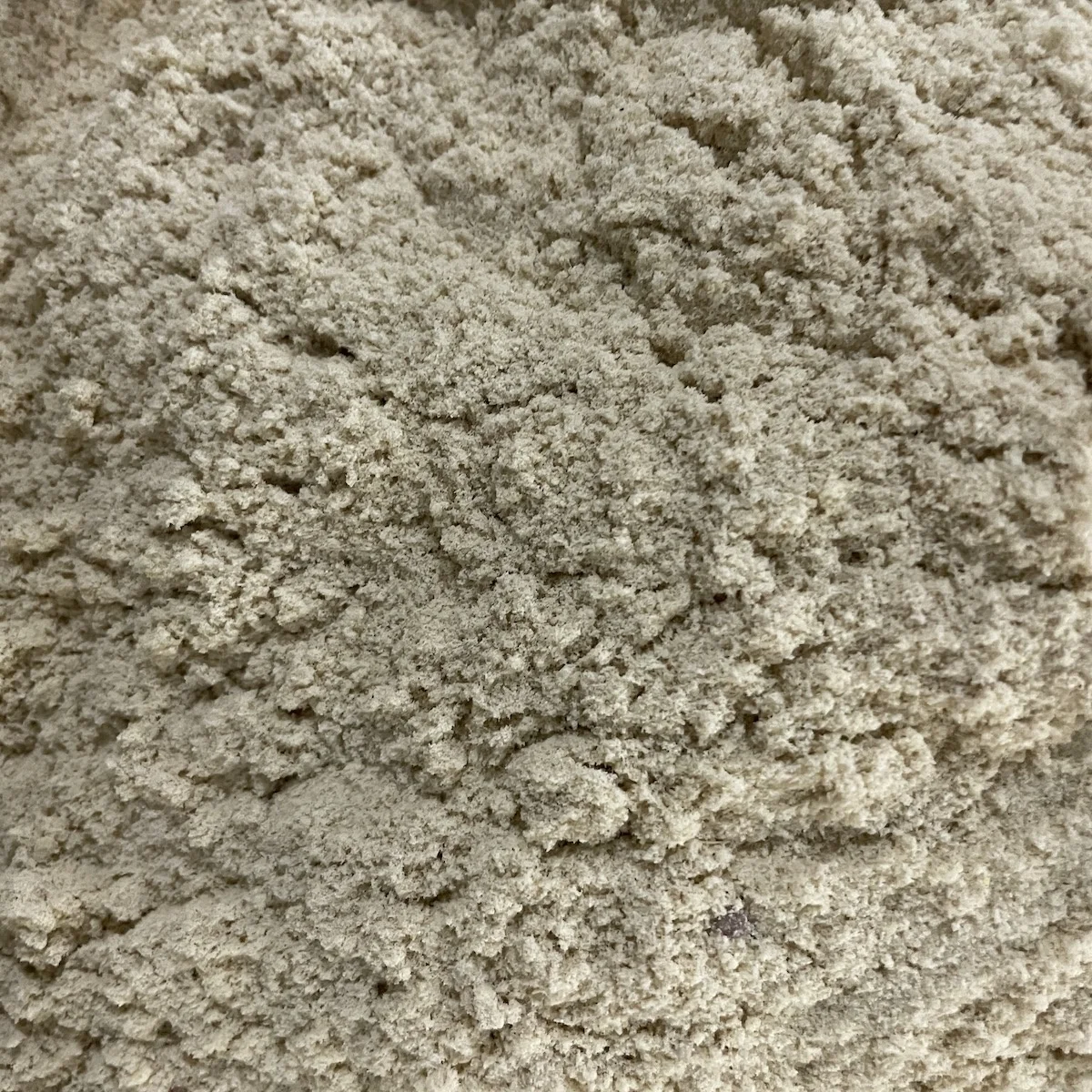 20kg Halal Dried Philippines Flavor Chicken Powder Seasonings