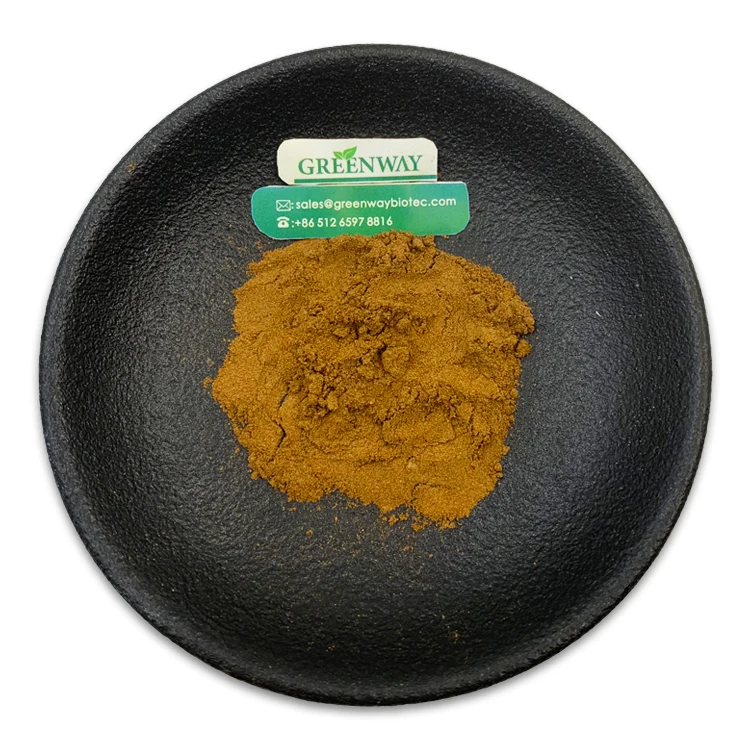 Factory Supply 90%-98% Orange Peel Extract Food Supplement CAS 520-26-3 Hesperidin Powder