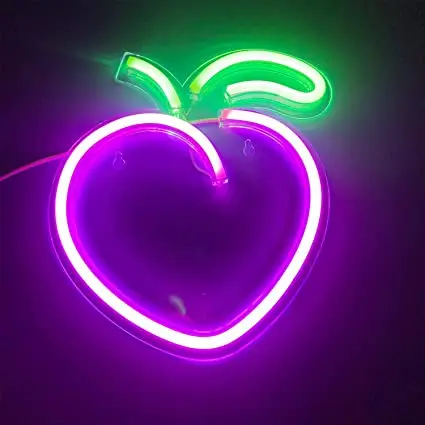 Customized neon signage China factory wholesale cheap acrylic PC PS illuminated led neon sign 12V lighted neon flex