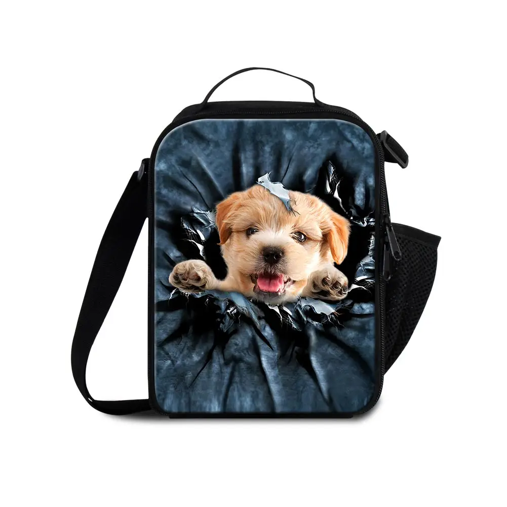 Custom Logo Reusable Wholesale Cooler Lunch Bag Kids Lunch Box Manufacturer with Custom Printed Logo