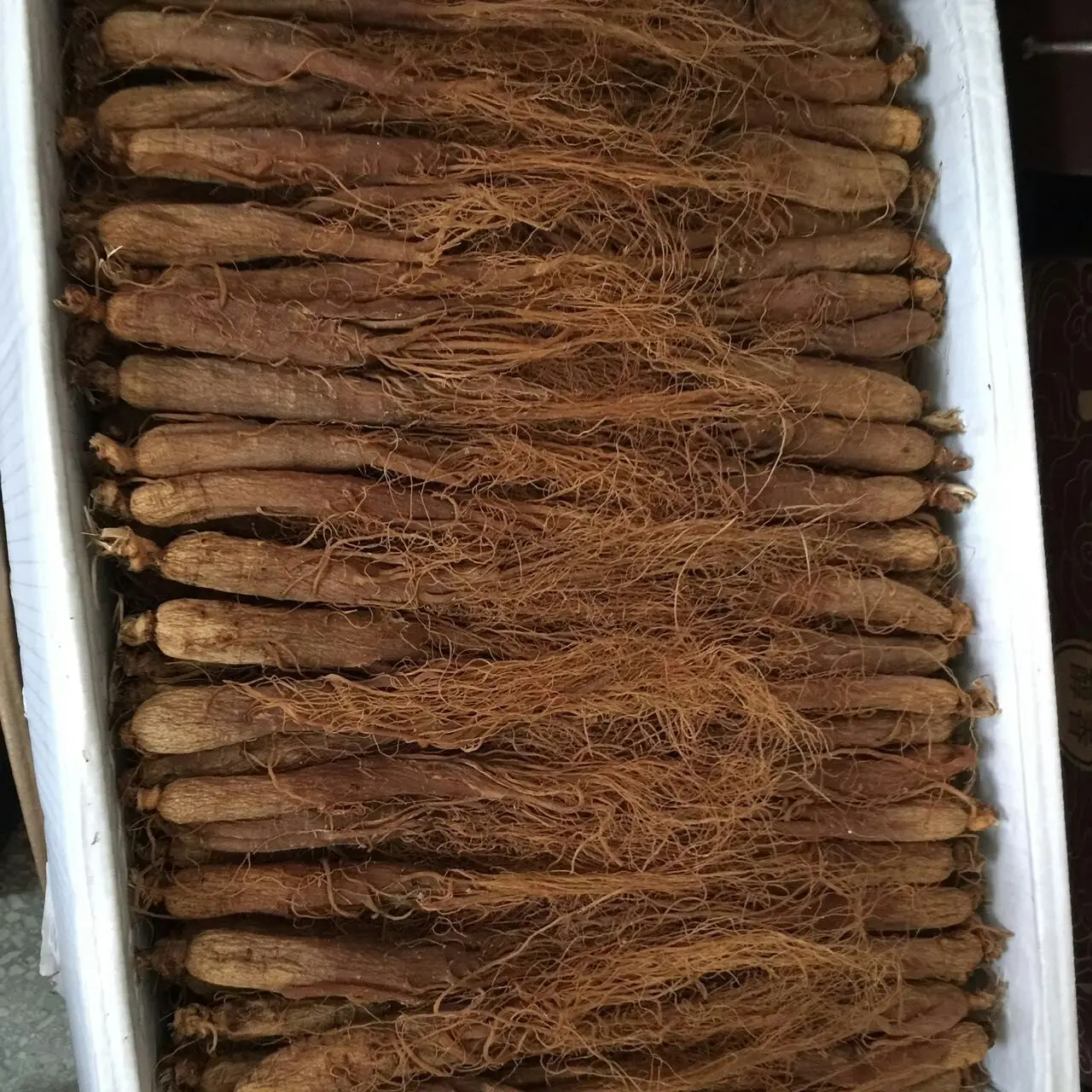 Top quality whole Red Ginseng rubra radix	Ginsengwurzel rot Radix purpur with competitive price