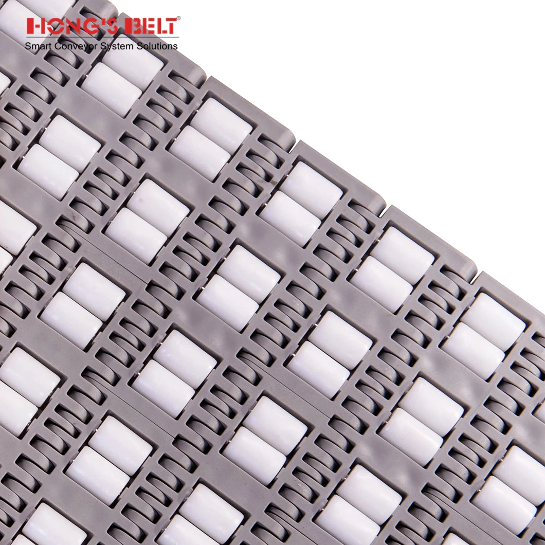 Hongsbelt Conveyor Belt Plastic Modular Plastic Conveyor Belt For sorting conveyor