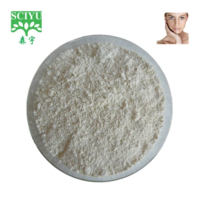 
high quality aloe vera extract powder Aloe vera gel freeze-dried powder 10:1 
