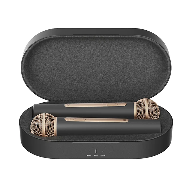 High quality Home Karaoke mixer Handheld Conference Church speech teaching wireless Microphone