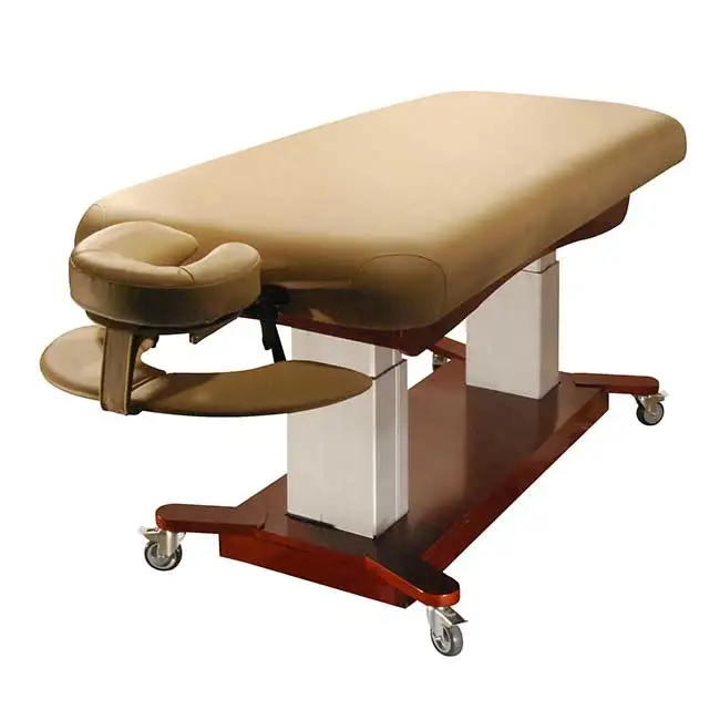 Watt Liftback High Quality 2 Motor Good Sell Portable Physiotherapy Massage Bed Treatment Table Beauty Bed