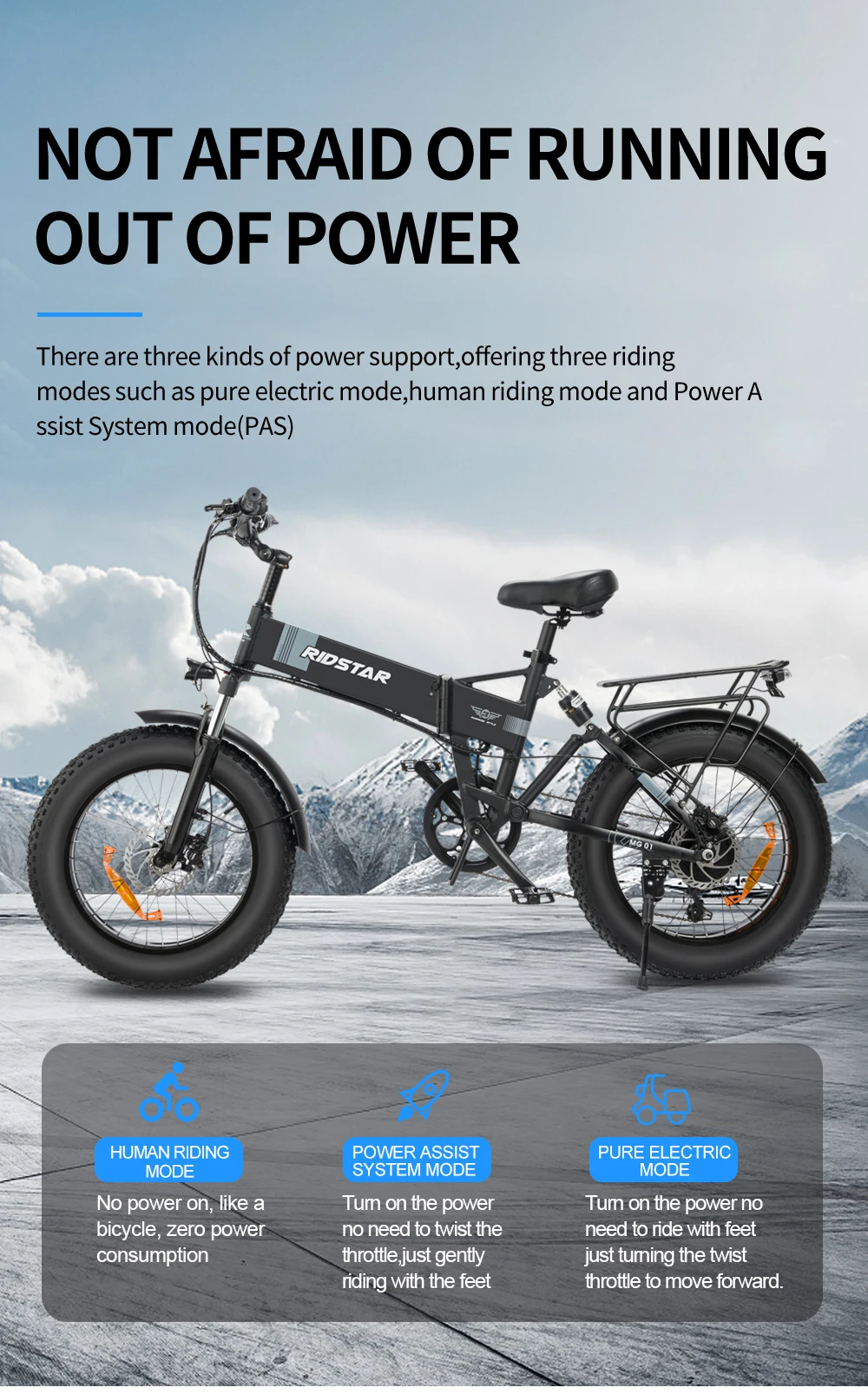Loaded Bicycle Folding Electric Bike Ireland Moped 150kg 20 Inch 1000W 2 Seats Lithium Battery 48V Rear Hub Motor Gua 7 Speed