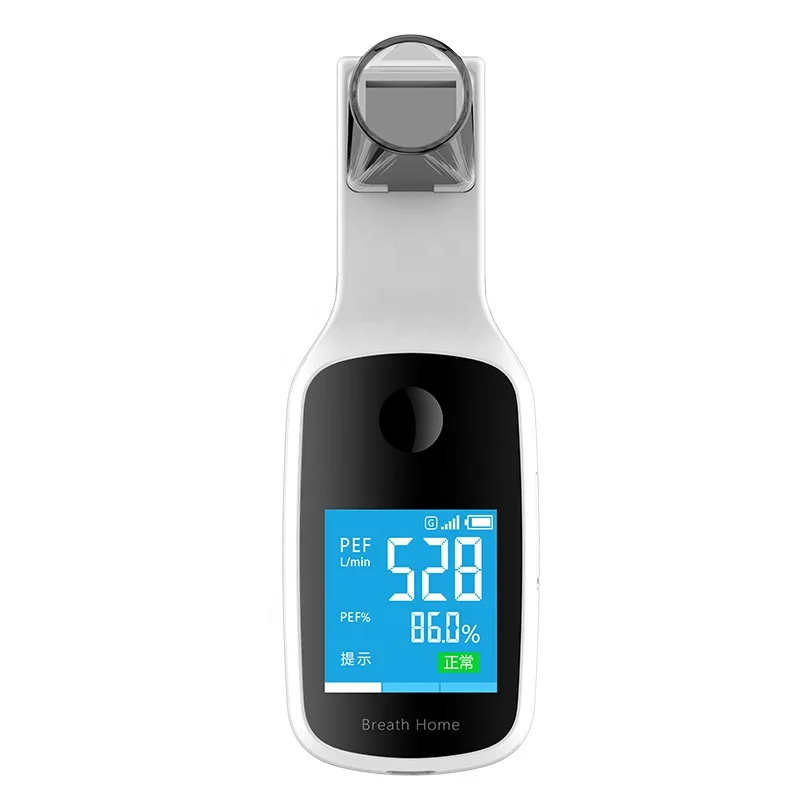 New product NS-B1 Color Display USB Portable Digital smart