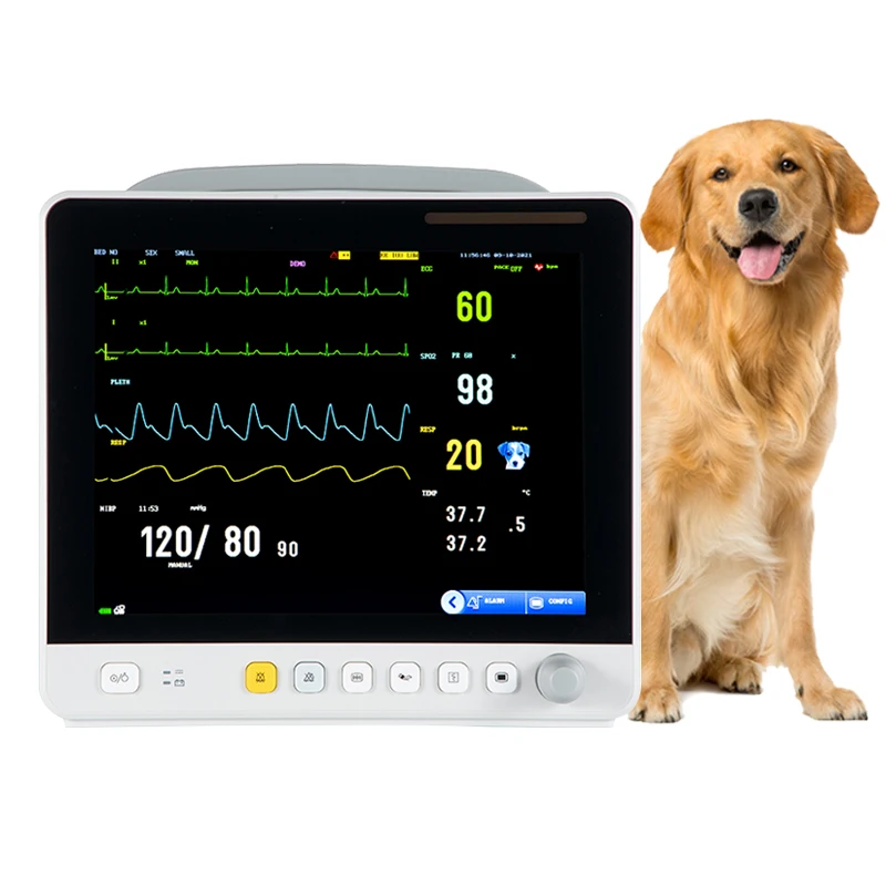 China wholesale patient monitor veterinary blood oxygen pulse vital signs multiparameter veterinary monitor