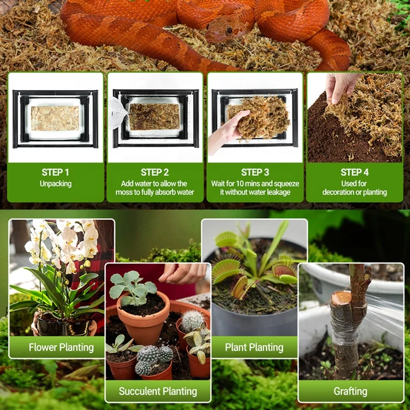 Factory Price Sphagnum Moss For Potted Flowers Cultivation Natural Sphagnum  Moss For Gardening Materials and Seedling Cultu