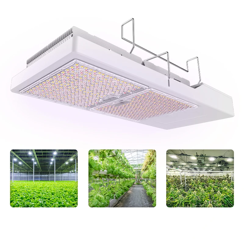 LONGSUN Patented Full Spectrum Led Top Lighting  800W 800Watt with White Color Blue and Red Color Wavelength  Top Bin LED Chips