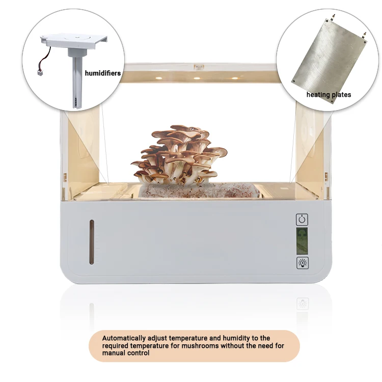 Factory Price Greenhouse Equipment Portable Growth grow case Air Box Mushroom Grow Box Kit