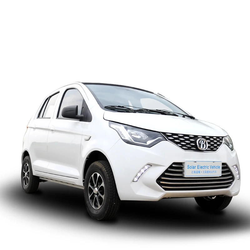 Electric Vehicle Dual Airbag Chinese Enterprise Supports SKD/CKD Adult Electric Vehicles