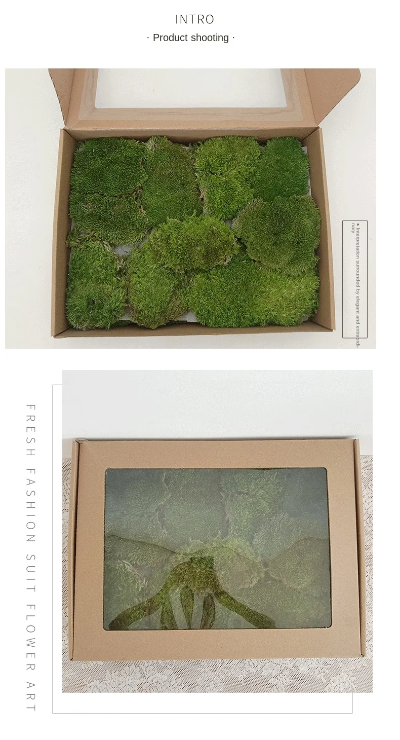 Высокое качество офисный дом украшение стены полюс булочка Leucobryum Glaucum консервированный мох