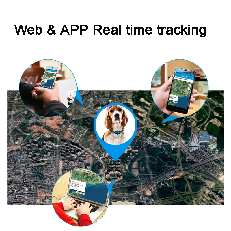 4G Pet GPS tracker collar made in China GPS tracker dog cat locator GPS tracking realtime mini tracker