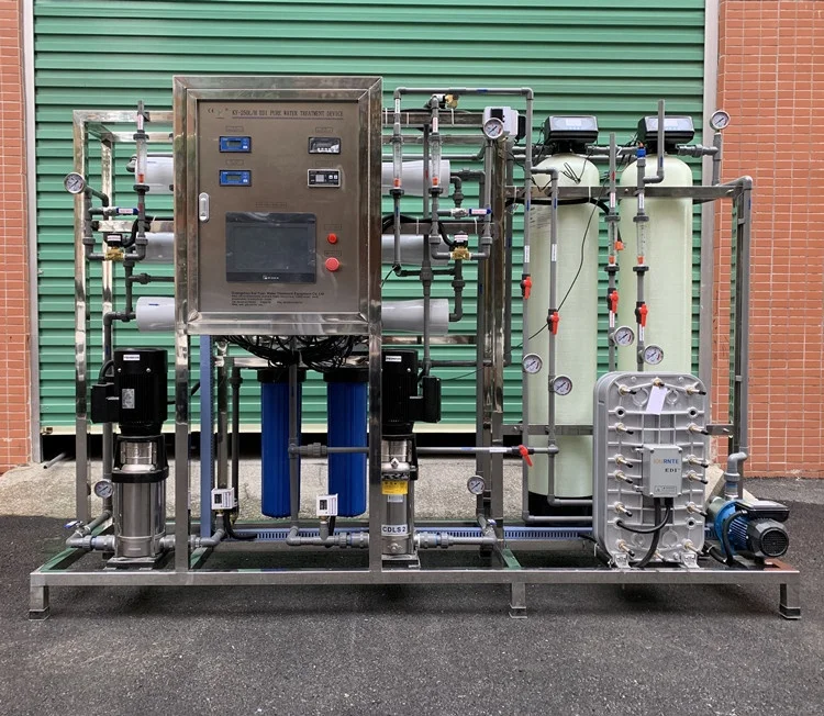 500lph Two Stage Ultrapure Ro EDI Purification Treatment System For Electronic Semiconductor/Hemodialysis