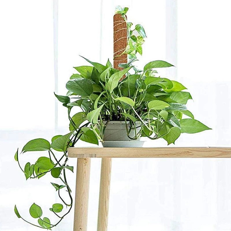 Палочка coir для выращивания в помещении, стена для выращивания леса, тотем, рождественское растение для скалолазания