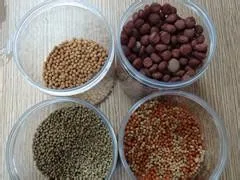 Automatic fish feed production line floating fish feed pellet machine