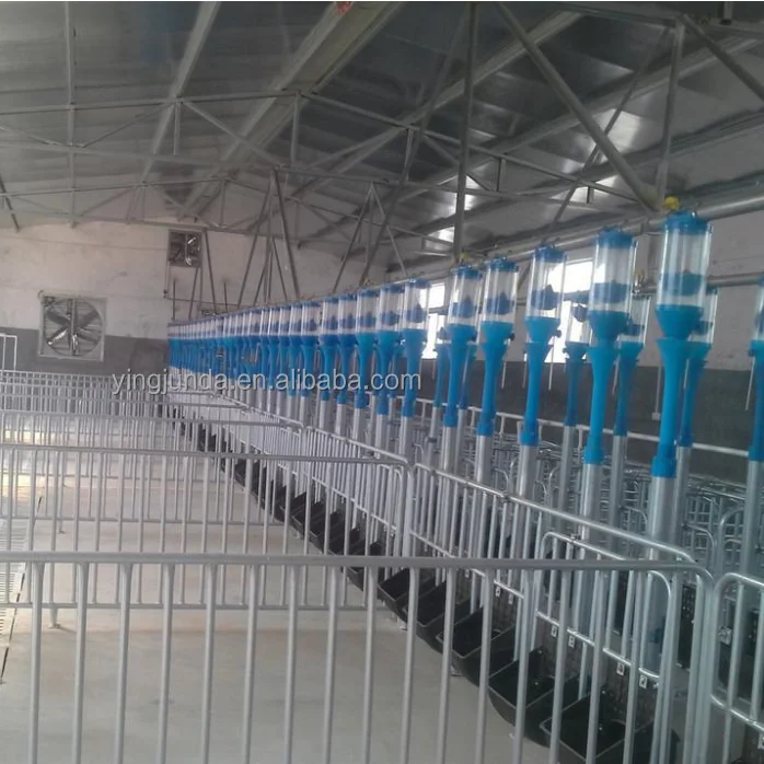hot dip galvanized Pig fattening crate poultry equipment