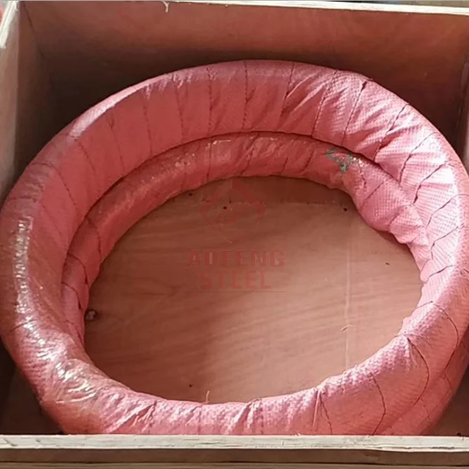 stainless steel aisi304 201sus astm316 sae 1006 1018 rope steel wire rod