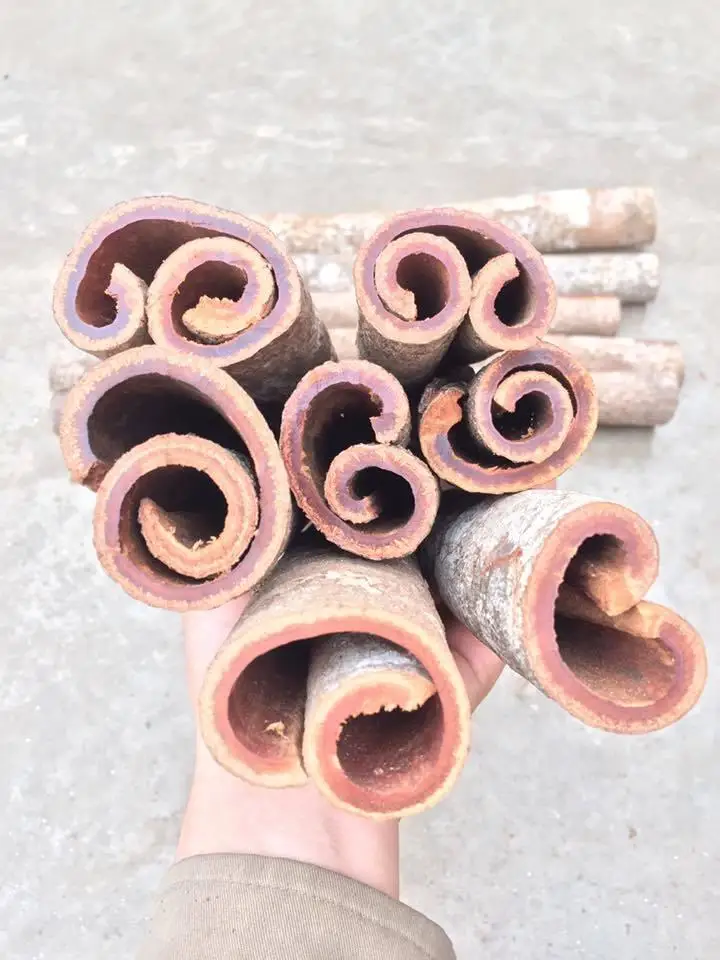 Горячая Распродажа травы и специи ярко-коричневый ароматизатор сушеные палочки корицы из Вьетнама для экспорта-Linda whatsapp 0084989322607