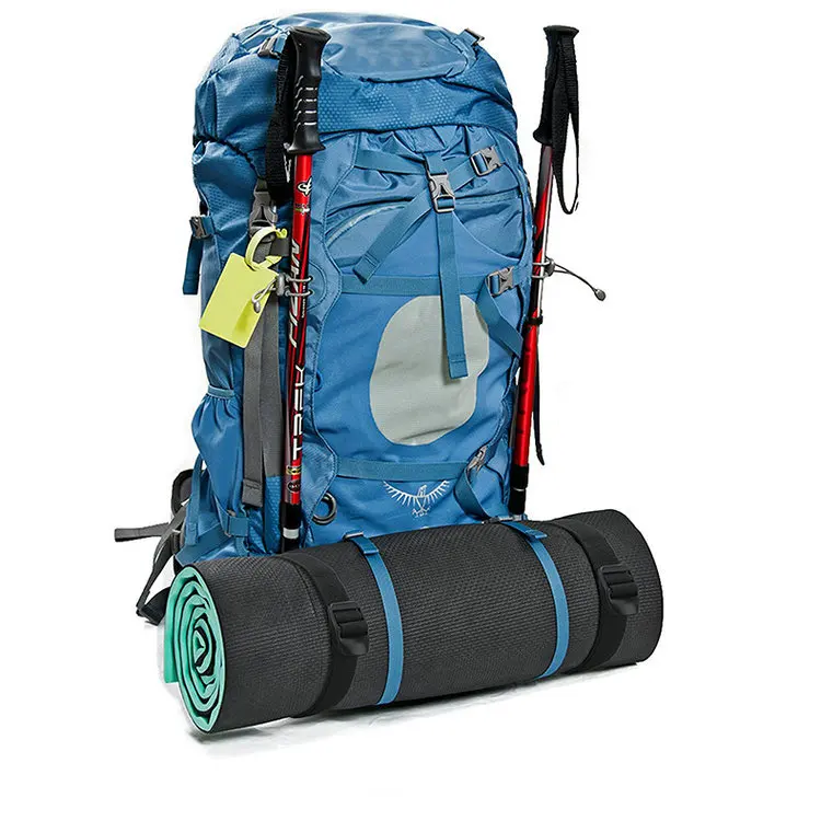 Customized adjustable backpack luggage packing webbing binding strap with ladder lock buckle