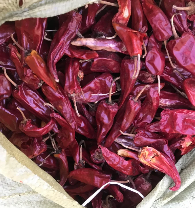 2022 new crop yidu red chili dry red chili for sale beijing red chili