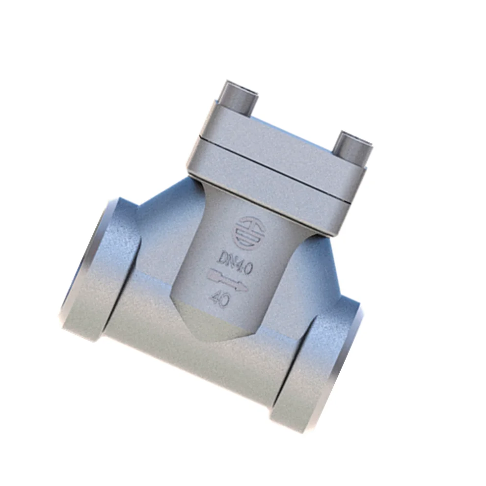 DH-15 SS304 Cryogenic check valve