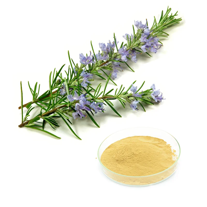 Gmp Haccp Kosher органический земляной экстракт розмарина 4050 карнозная кислота урсоловая порошок Розмариновой Кислоты
