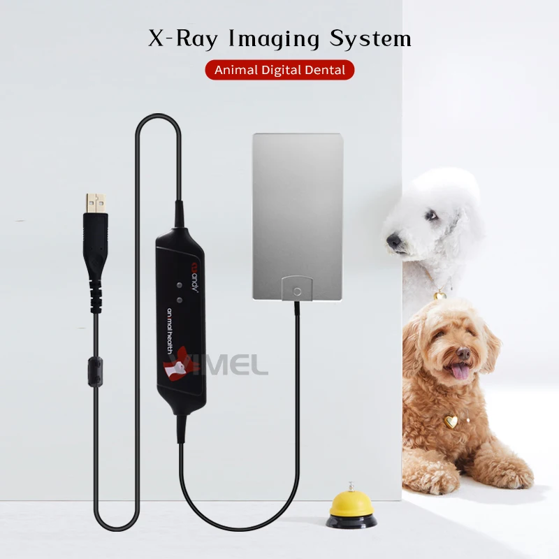 Original Handy VDR1207-GAO RVG Sensor Size 4 Dental Vet Imaging system Intraoral Sensor for Dog Cat Teeth Care