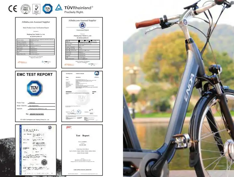 Fat Tire Electric Bike Adults Brushless Motor Electric Mountain E-Bike 48V Larger Battery Powerful 7-Speed