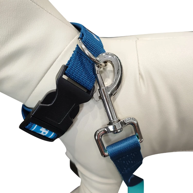 Wholesale Gradient Color Dye Sublimation Custom Printed Adjustable Dog Training Rope Leash Chain And Collar Set